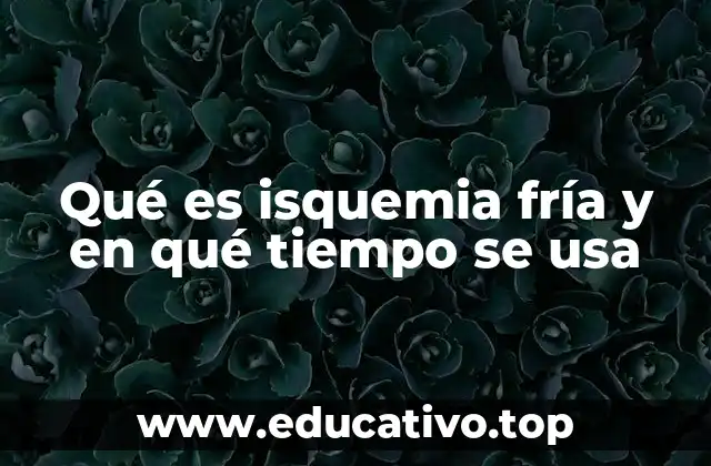 La relación entre el frío y la circulación periférica