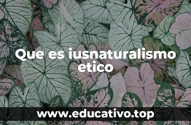 Que es iusnaturalismo etico