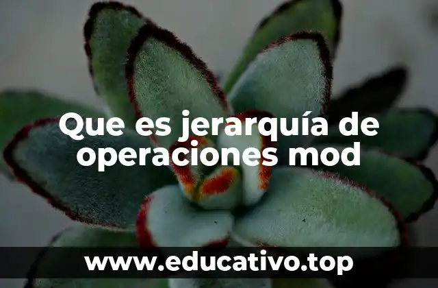 Que es jerarquía de operaciones mod