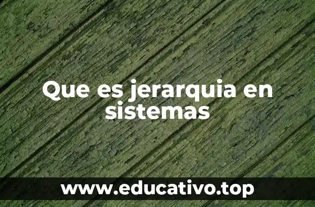 Organización estructural en sistemas complejos