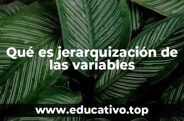 Qué es jerarquización de las variables