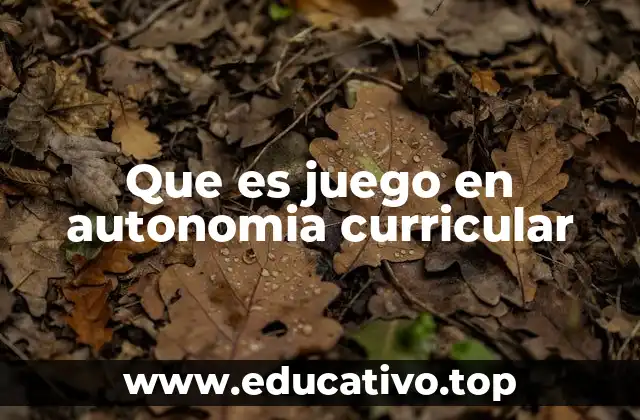 El rol del docente en el juego curricular