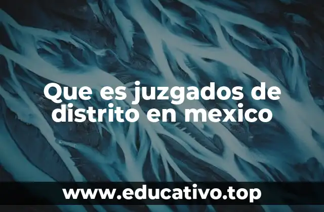 La importancia de los juzgados de distrito en el sistema legal mexicano