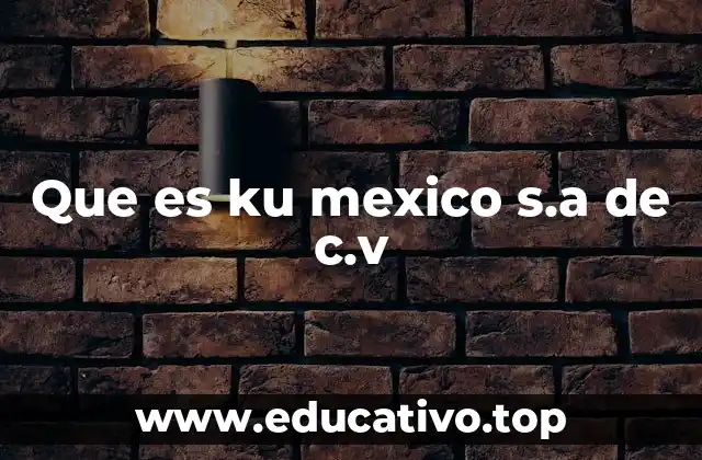 Que es ku mexico s.a de c.v