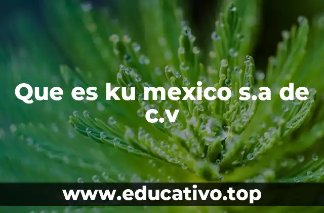 Que es ku mexico s.a de c.v