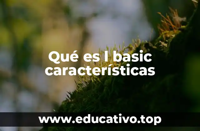 Qué es l basic características