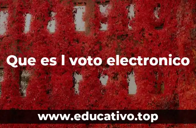 Que es l voto electronico