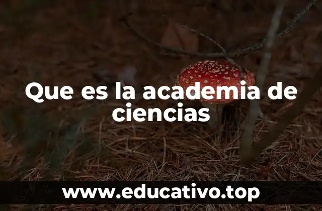 Que es la academia de ciencias
