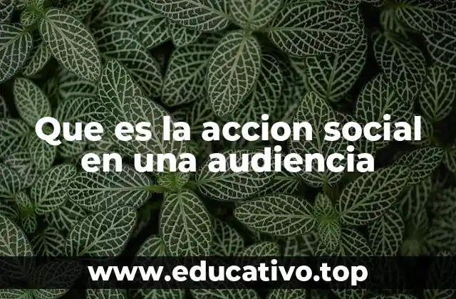Que es la accion social en una audiencia