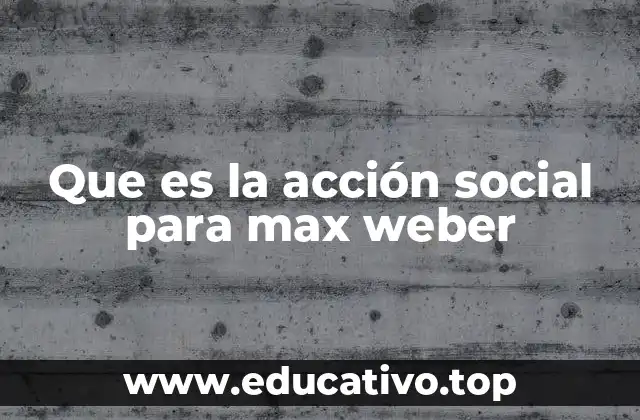 Que es la acción social para max weber