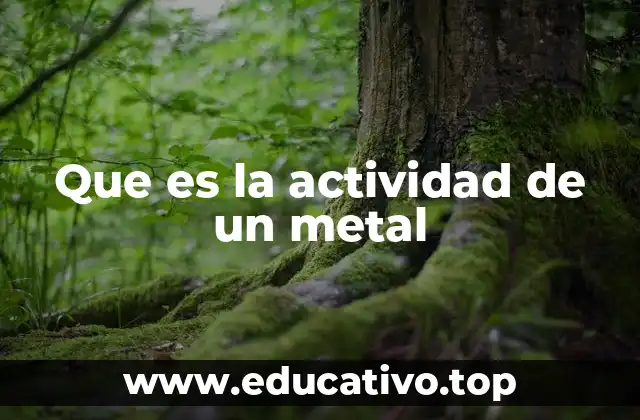 Que es la actividad de un metal