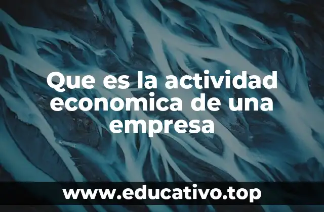 Cómo se define la actividad económica de una empresa sin mencionar directamente el término