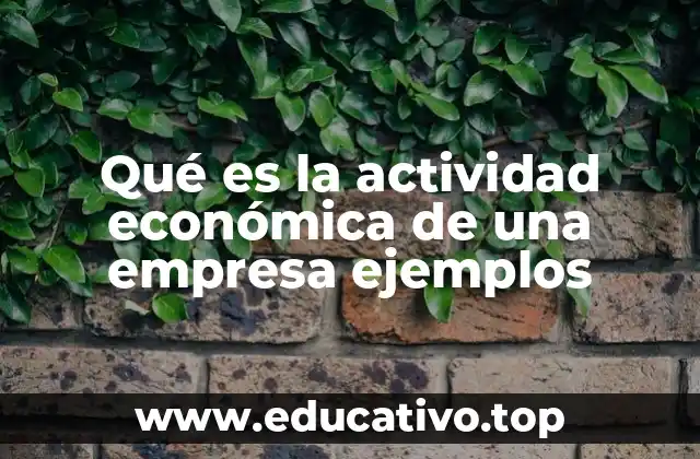 Qué es la actividad económica de una empresa ejemplos