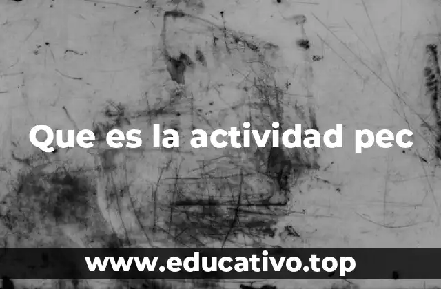 Que es la actividad pec