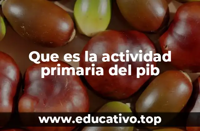 Que es la actividad primaria del pib