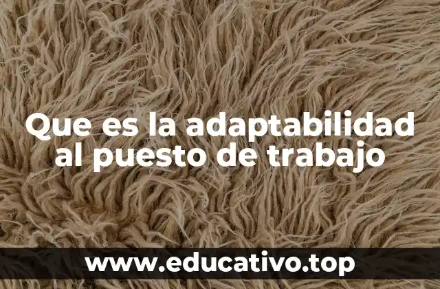 La importancia de la flexibilidad en el desarrollo profesional