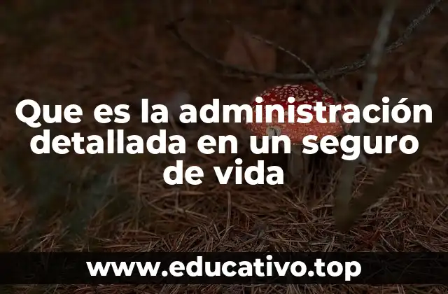 La importancia de la gestión precisa en seguros de vida