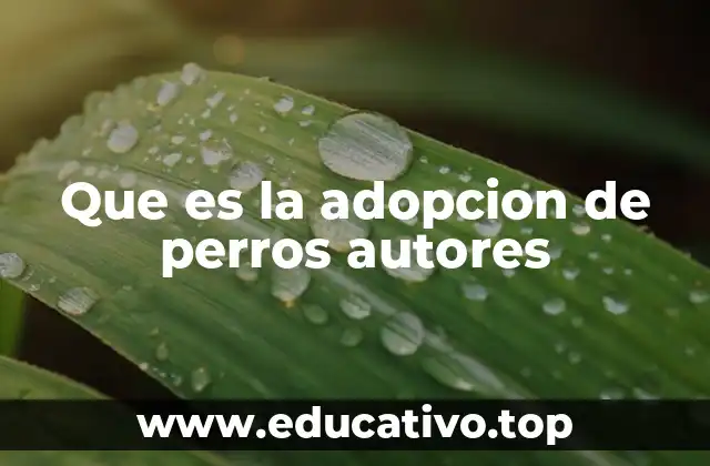 Que es la adopcion de perros autores