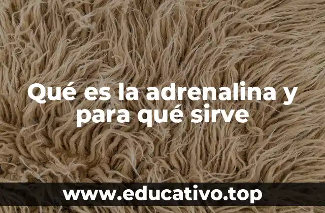 El papel de la adrenalina en la fisiología humana