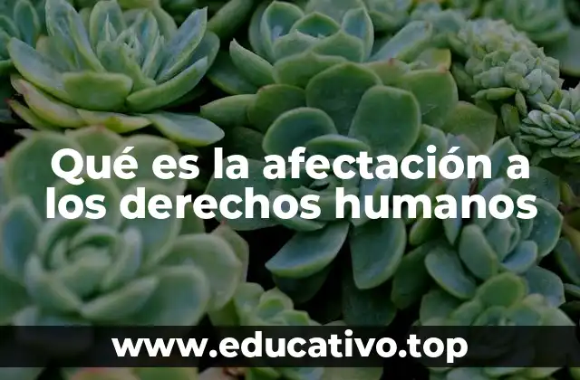 El impacto social de la afectación de los derechos humanos