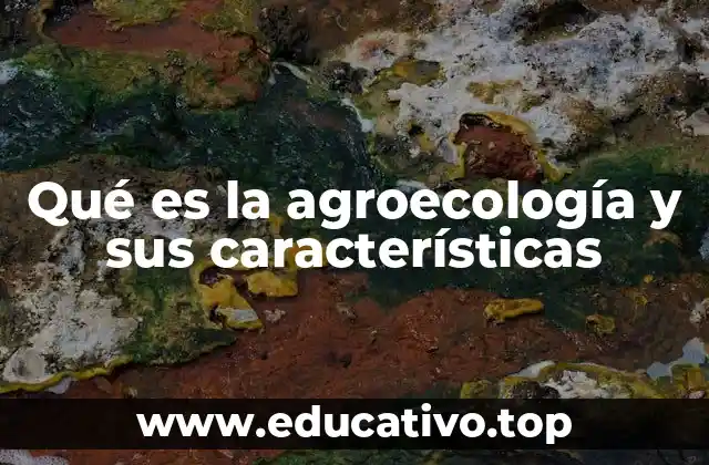 Qué es la agroecología y sus características