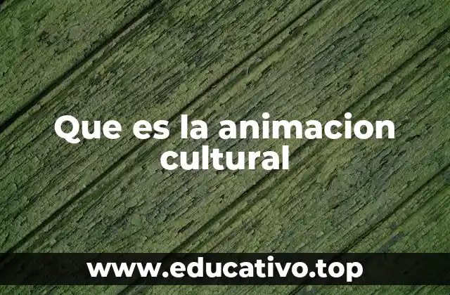 Que es la animacion cultural