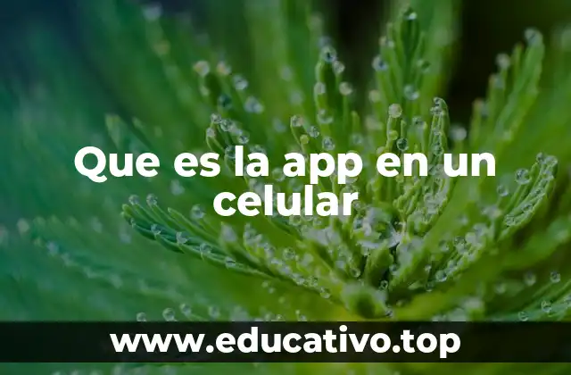 Que es la app en un celular