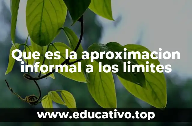 Cómo entender el comportamiento de una función sin conocer su valor exacto