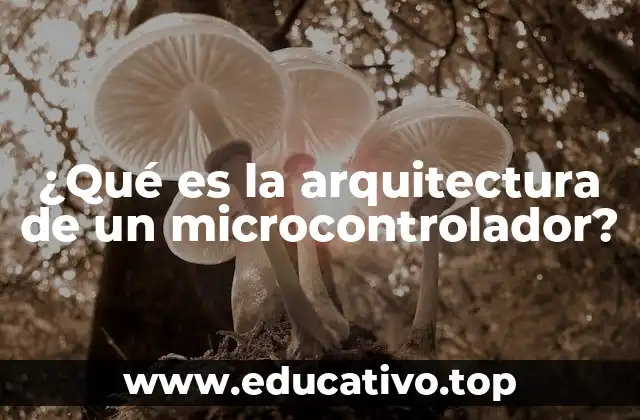 ¿Qué es la arquitectura de un microcontrolador?