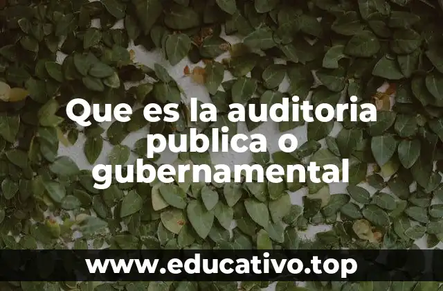 Que es la auditoria publica o gubernamental