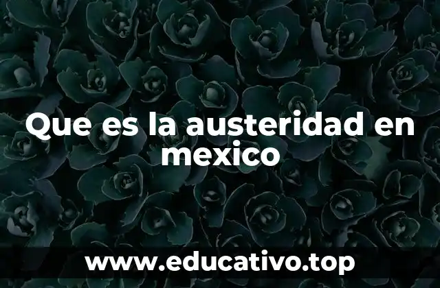 Que es la austeridad en mexico