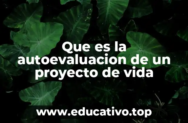 Que es la autoevaluacion de un proyecto de vida