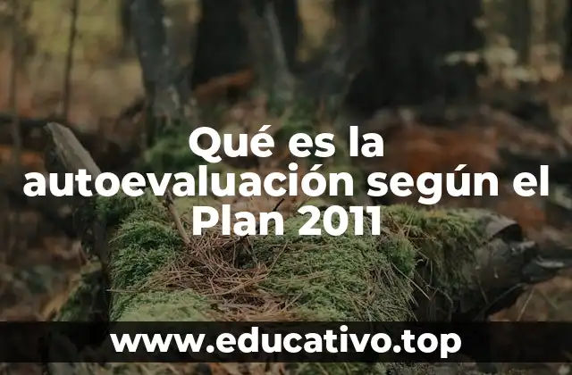 Qué es la autoevaluación según el Plan 2011