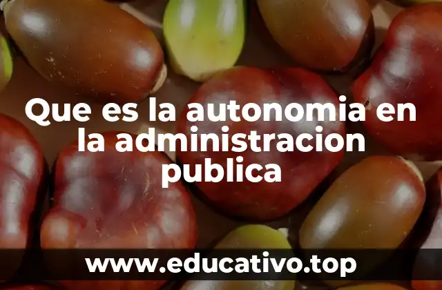 Que es la autonomia en la administracion publica