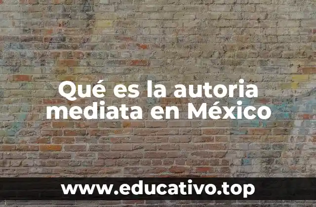 Qué es la autoria mediata en México