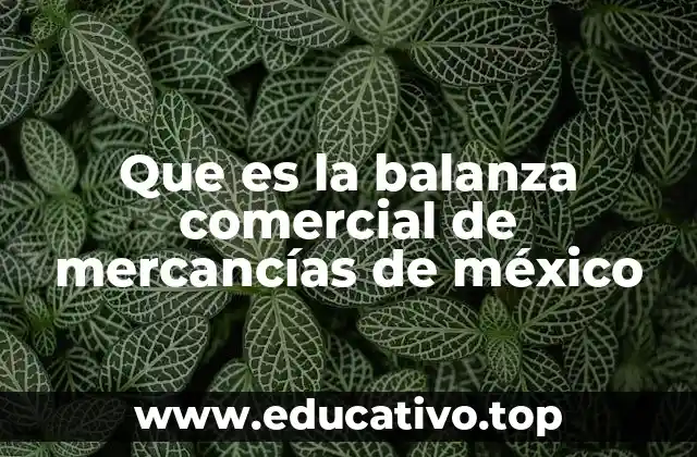 Que es la balanza comercial de mercancías de méxico