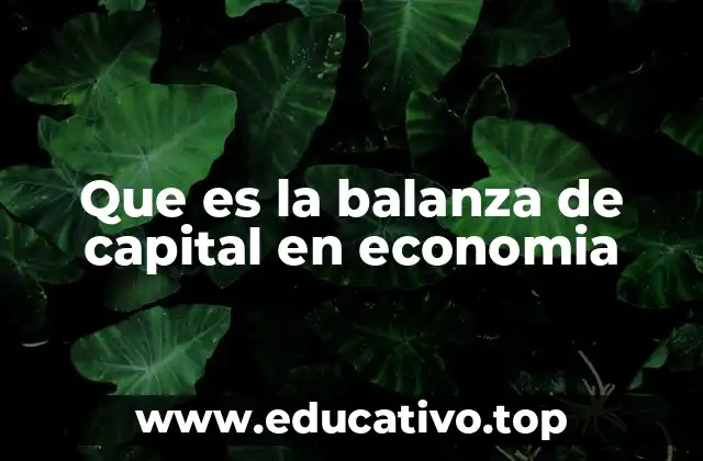 El papel de la balanza de capital en el análisis económico