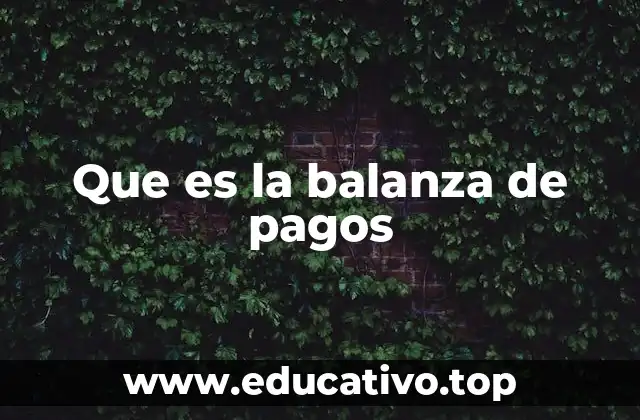 Que es la balanza de pagos