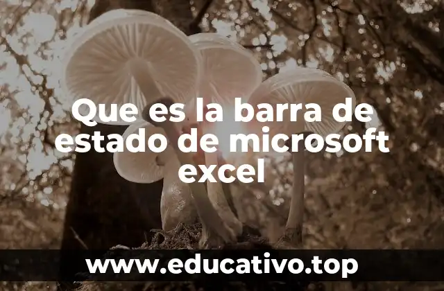 Que es la barra de estado de microsoft excel