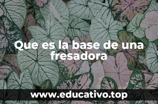 La importancia de la base en el funcionamiento de una fresadora