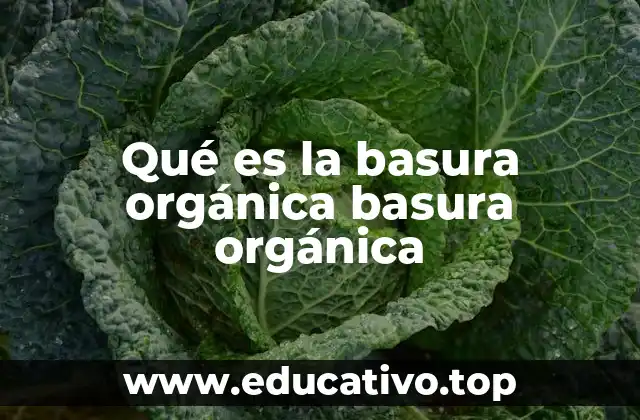 Qué es la basura orgánica basura orgánica