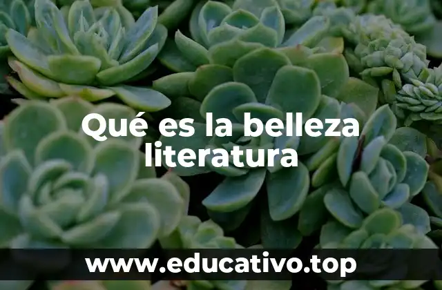 Qué es la belleza literatura
