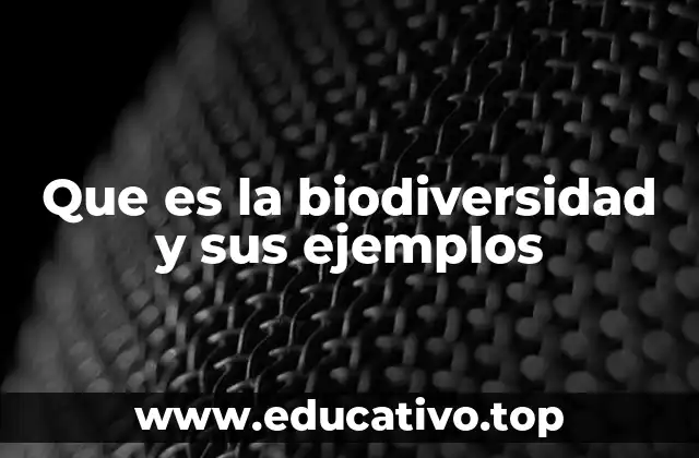 Que es la biodiversidad y sus ejemplos