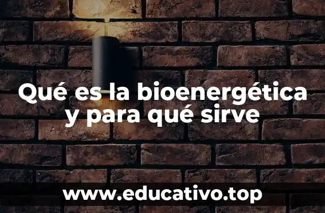 La importancia de la energía corporal en la salud