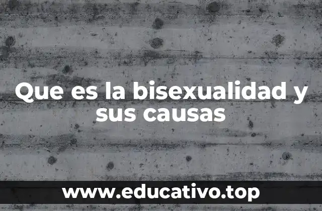 La bisexualidad y la diversidad de la identidad humana