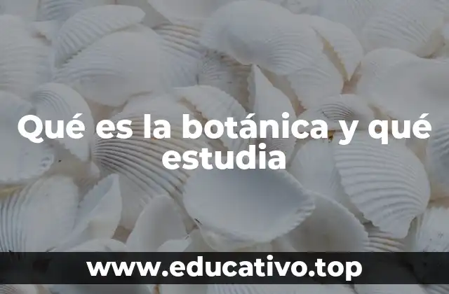 Qué es la botánica y qué estudia