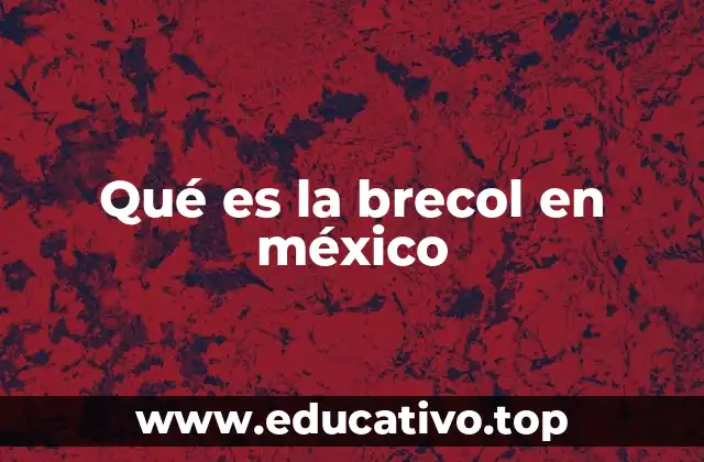 Qué es la brecol en méxico