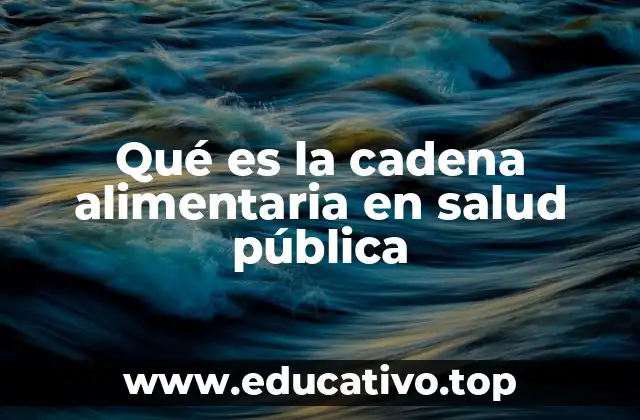 Qué es la cadena alimentaria en salud pública
