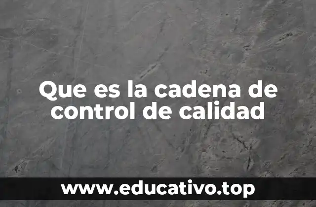 Que es la cadena de control de calidad