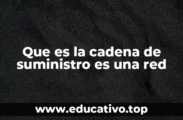 Que es la cadena de suministro es una red
